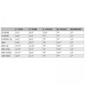 Cadre Bmx Race AUTONOMY Blade Pro Argent 4 Cadre Bmx Race AUTONOMY Blade Pro Argent – Image 2